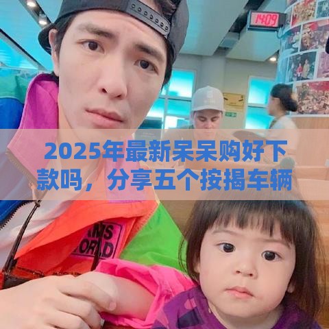 2025年最新呆呆购好下款吗，分享五个按揭车辆贷款平台