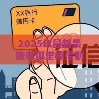 2025年最新呆账在哪里能借到钱，公布五个不回访不查征信好下款的口子