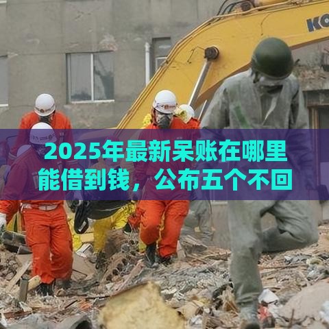 2025年最新呆账在哪里能借到钱，公布五个不回访不查征信好下款的口子