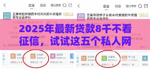 2025年最新贷款8千不看征信，试试这五个私人网贷平台