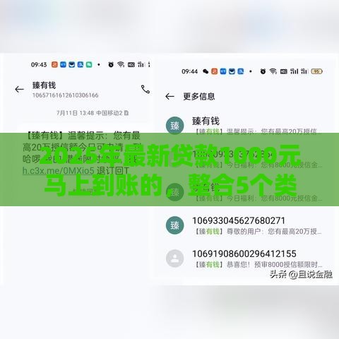 2025年最新贷款1000元马上到账的，整合5个类似哈罗的借款软件平台