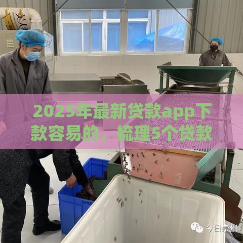 2025年最新贷款app下款容易的，梳理5个贷款两万的平台