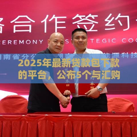 2025年最新贷款包下款的平台，公布5个与汇购商城一样的口子