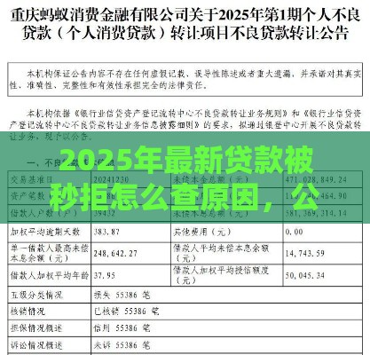 2025年最新贷款被秒拒怎么查原因，公布5个贷款平台不用人脸识别