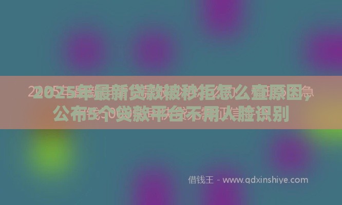 2025年最新贷款被秒拒怎么查原因，公布5个贷款平台不用人脸识别
