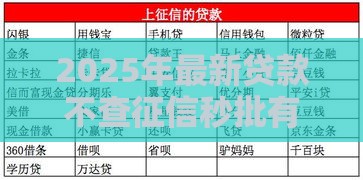 2025年最新贷款不查征信秒批有吗，看看这5个360贷款平台