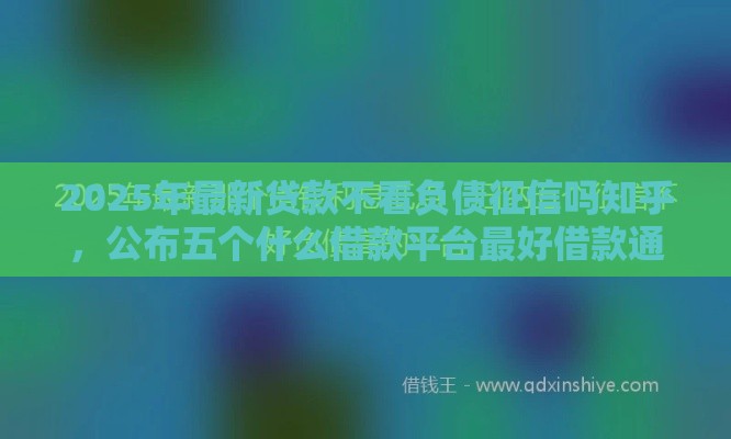 2025年最新贷款不看负债征信吗知乎，公布五个什么借款平台最好借款通过