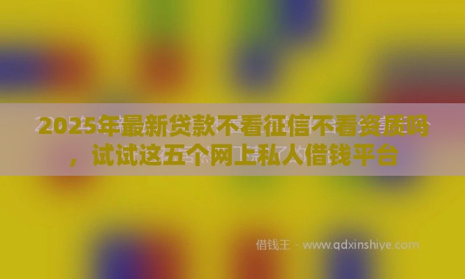 2025年最新贷款不看征信不看资质吗，试试这五个网上私人借钱平台