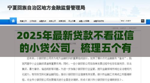 2025年最新贷款不看征信的小贷公司，梳理五个有什么可以贷款的平台