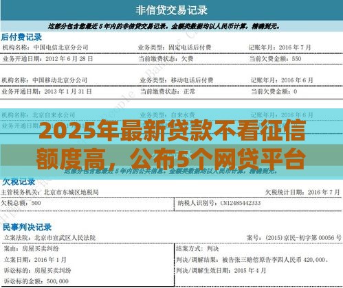 2025年最新贷款不看征信额度高，公布5个网贷平台怎么推广