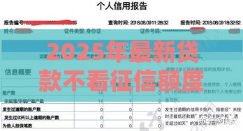 2025年最新贷款不看征信额度高，公布5个网贷平台怎么推广