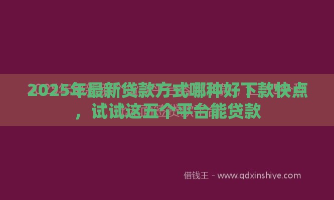 2025年最新贷款方式哪种好下款快点，试试这五个平台能贷款