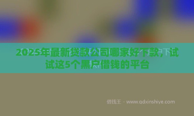2025年最新贷款公司哪家好下款，试试这5个黑户借钱的平台