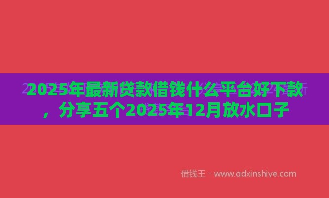 2025年最新贷款借钱什么平台好下款,分享五个2025年12月放水口子 2025年最新贷款借钱什么平台好下款,分享五个2025年12月放水口子