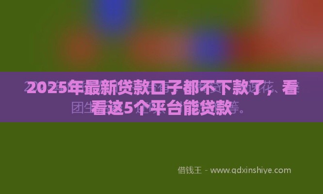 2025年最新贷款口子都不下款了，看看这5个平台能贷款