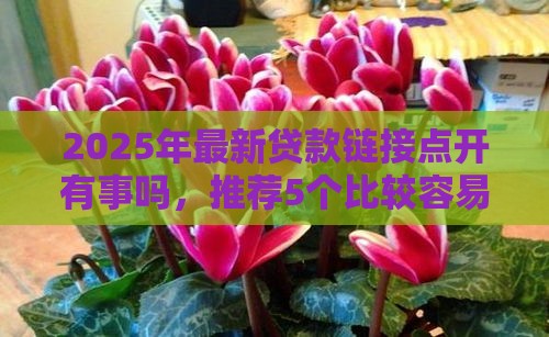 2025年最新贷款链接点开有事吗，推荐5个比较容易过的贷款平台