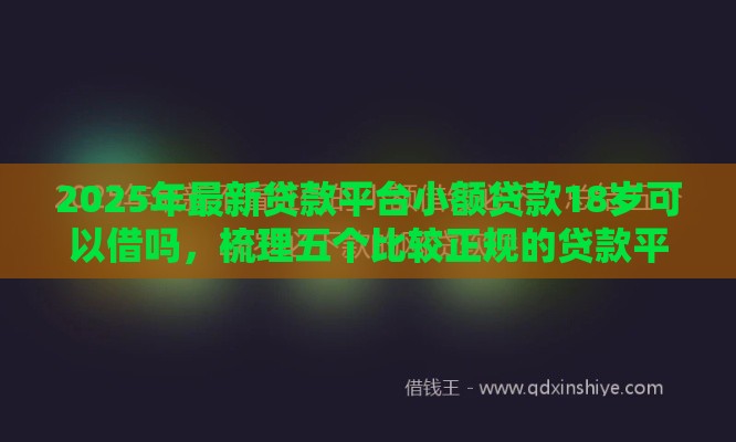 2025年最新贷款平台小额贷款18岁可以借吗，梳理五个比较正规的贷款平台