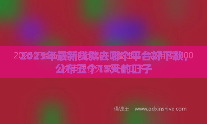 2025年最新贷款去哪个平台好下款，公布五个15天的口子