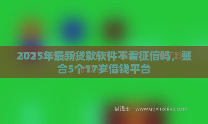 2025年最新贷款软件不看征信吗，整合5个17岁借钱平台