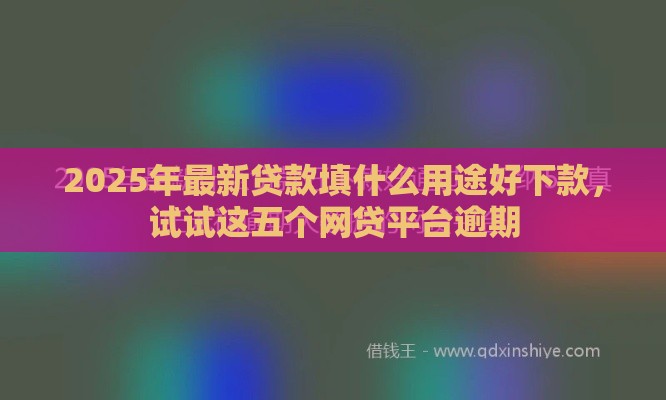 2025年最新贷款填什么用途好下款，试试这五个网贷平台逾期