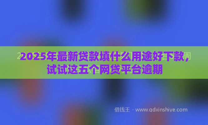 2025年最新贷款填什么用途好下款，试试这五个网贷平台逾期