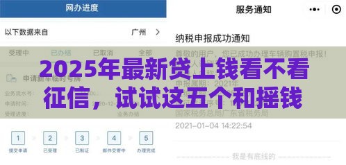 2025年最新贷上钱看不看征信，试试这五个和摇钱花一样的平台
