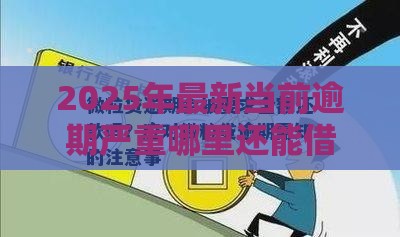 2025年最新当前逾期严重哪里还能借款，推荐五个可以贷款的平台