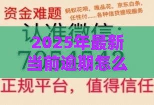 2025年最新当前逾期怎么借钱，梳理五个小微企业网上贷款平台