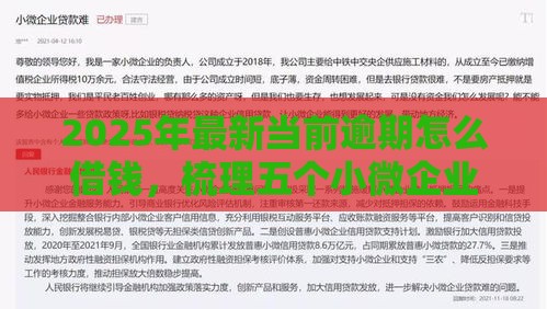 2025年最新当前逾期怎么借钱，梳理五个小微企业网上贷款平台
