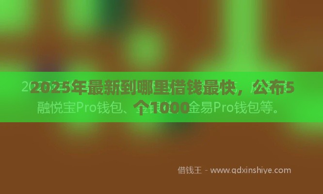 2025年最新到哪里借钱最快，公布5个1000
