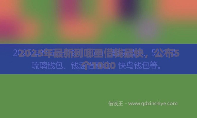 2025年最新到哪里借钱最快，公布5个1000