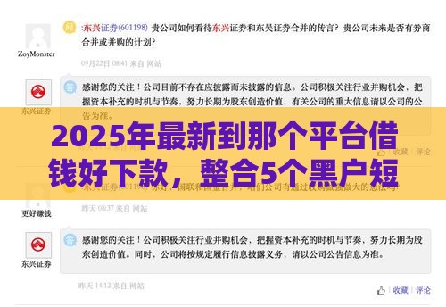 2025年最新到那个平台借钱好下款，整合5个黑户短借平台,秒下款还可靠