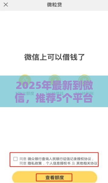 2025年最新到微信，推荐5个平台借钱容易通过不看负债