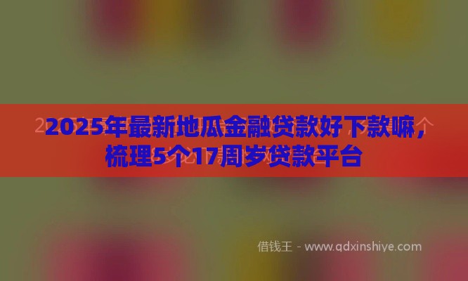 2025年最新地瓜金融贷款好下款嘛，梳理5个17周岁贷款平台