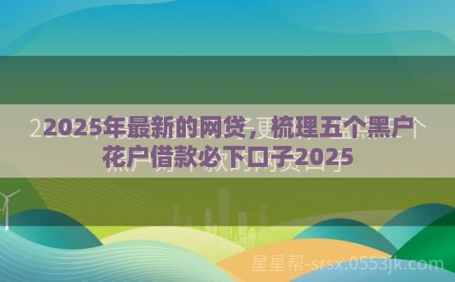 2025年最新的网贷，梳理五个黑户花户借款必下口子2025