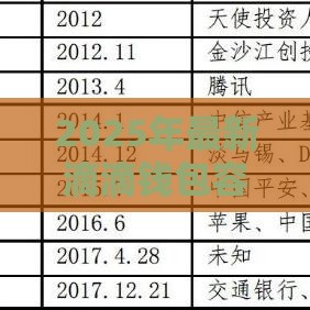 2025年最新滴滴钱包容易下款吗，试试这五个正规小额贷款平台