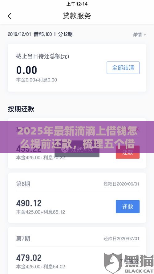 2025年最新滴滴上借钱怎么提前还款，梳理五个借款平台好借钱又快又不看征信