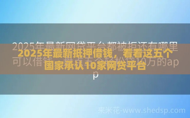 2025年最新抵押借钱，看看这五个国家承认10家网贷平台