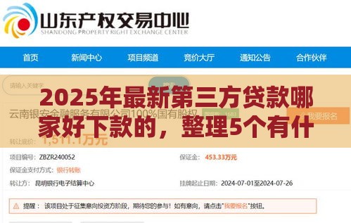 2025年最新第三方贷款哪家好下款的，整理5个有什么正规的贷款平台