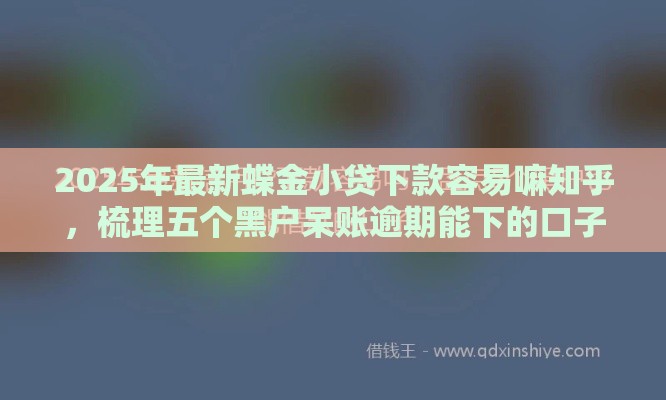 2025年最新蝶金小贷下款容易嘛知乎，梳理五个黑户呆账逾期能下的口子