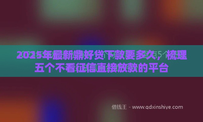 2025年最新鼎好贷下款要多久，梳理五个不看征信直接放款的平台