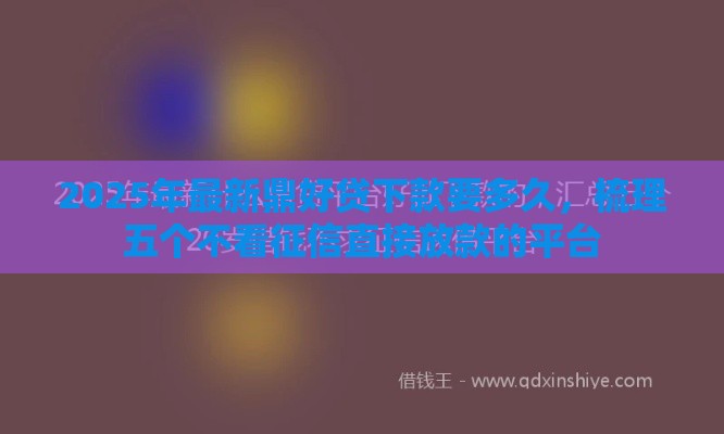 2025年最新鼎好贷下款要多久，梳理五个不看征信直接放款的平台