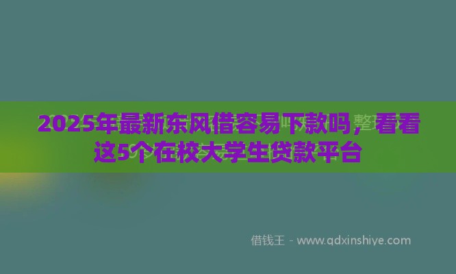 2025年最新东风借容易下款吗，看看这5个在校大学生贷款平台