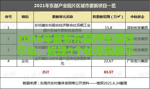 2025年最新东莞押车借钱平台，梳理5个社保贷款平台