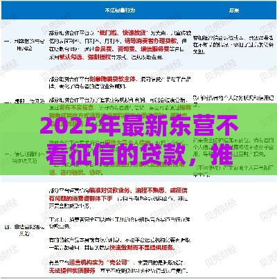 2025年最新东营不看征信的贷款，推荐5个贷款平台小额