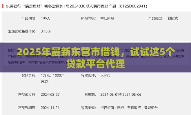 2025年最新东营市借钱，试试这5个贷款平台代理