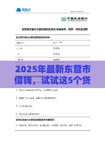 2025年最新东营市借钱，试试这5个贷款平台代理