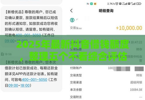 2025年最新抖音借钱额度，整理五个不看综合评估的百分百下款的软件