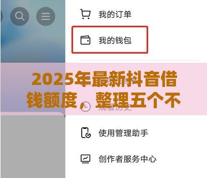 2025年最新抖音借钱额度，整理五个不看综合评估的百分百下款的软件