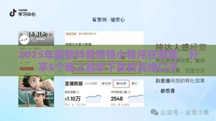 2025年最新抖音借钱小程序在哪里，分享5个晚上能秒下款的高炮口子